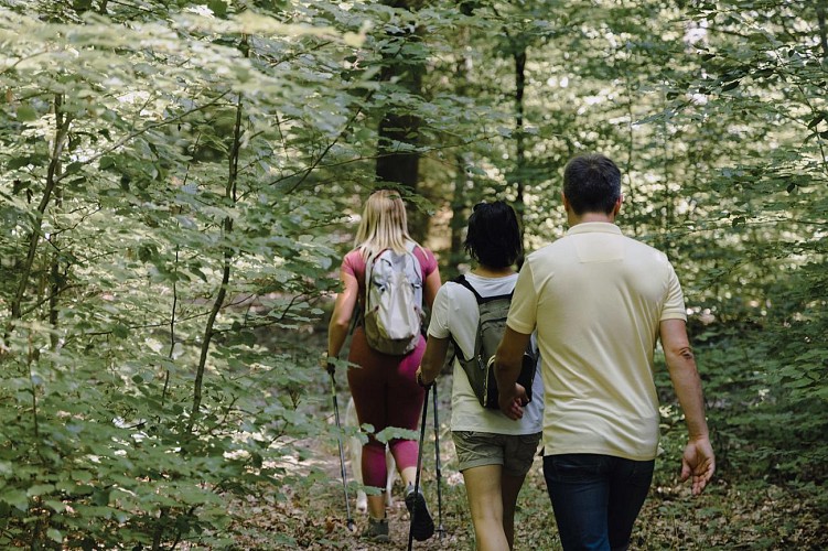Le Circuit du Lavoir
