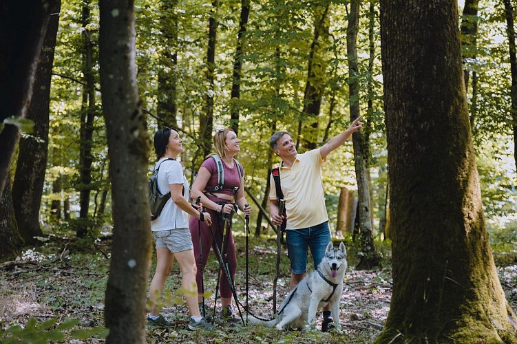 Le Circuit du Lavoir