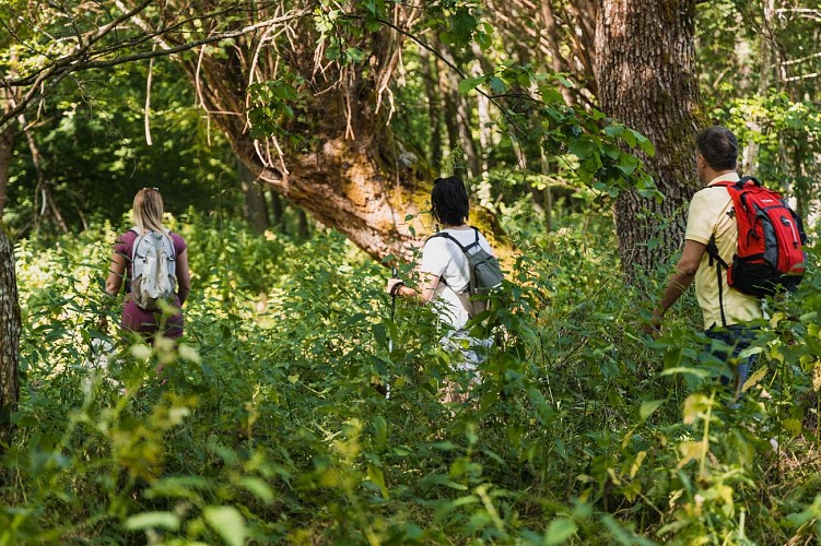 Le Circuit du Lavoir