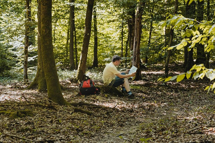 Le Circuit du Lavoir