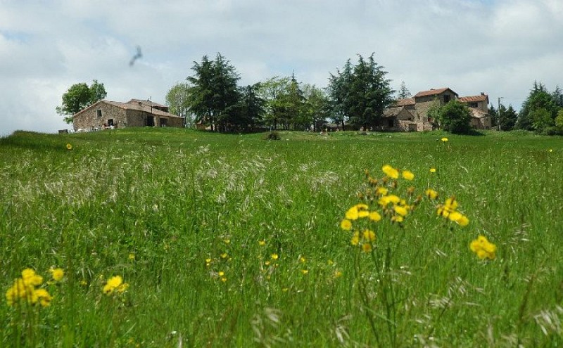 Le hameau de Moulès