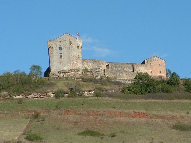 Château de Montaigut