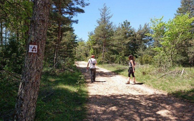 Sur la piste vers Canalettes