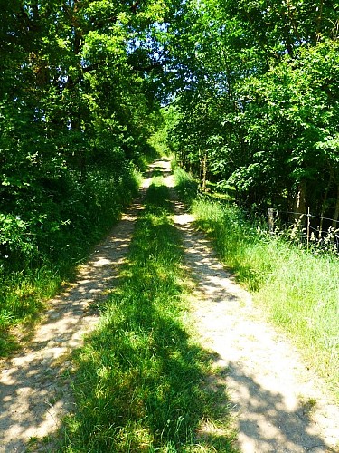 Sur le chemin entre Buzareingues et Cornuéjous
