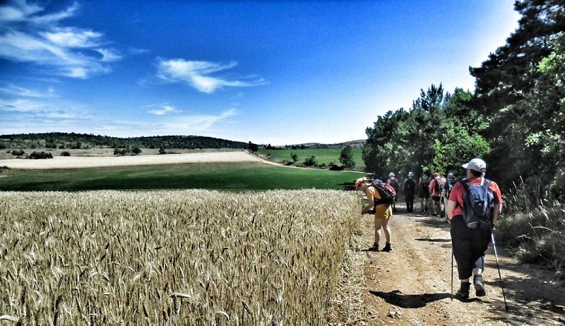 Sur le Causse Bégon...