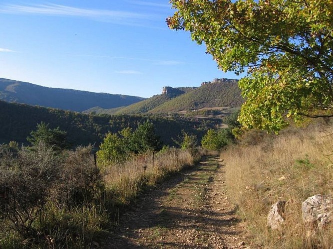 De Causse en Cévennes