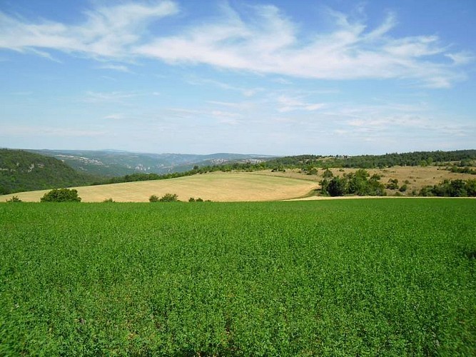 Vue sur les Gorges du Trévezel et de la Dourbie