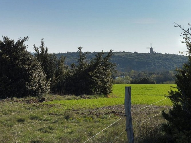 Le moulin de La Couvertoirade