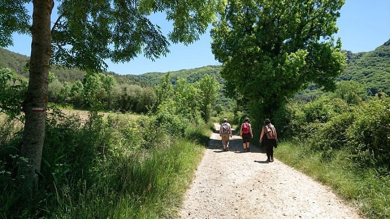 En direction du plateau du Guilhaumard...