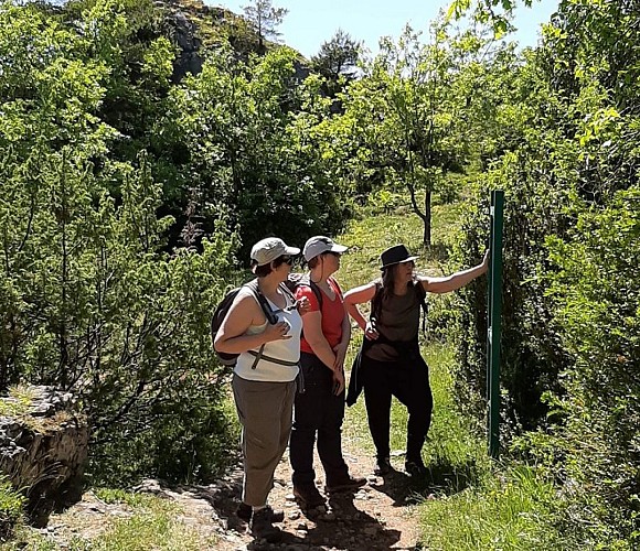 Sur le plateau du Guilhaumard