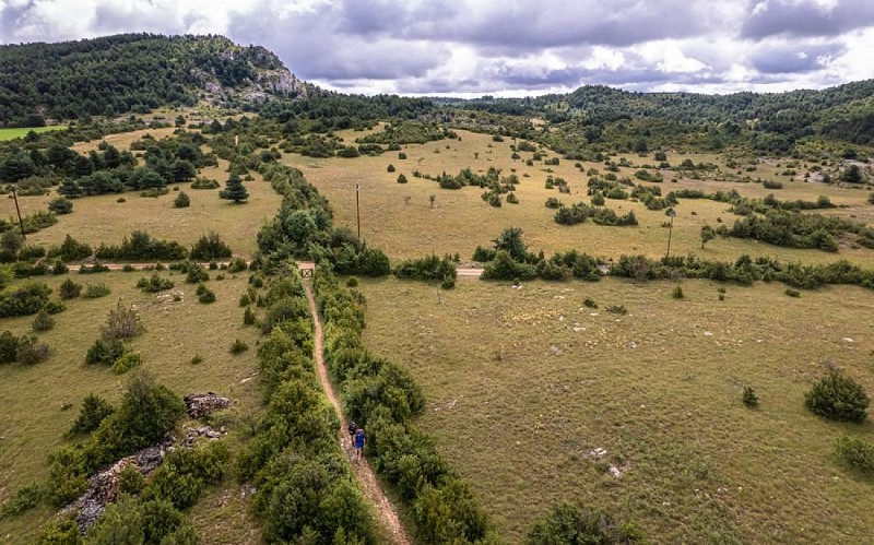 Paysage du Larzac
