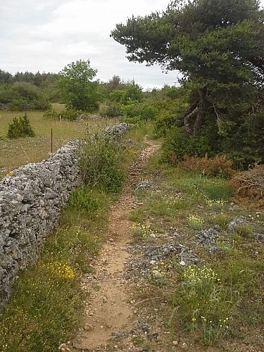 Entre la Blaquèrerie à Fontvive