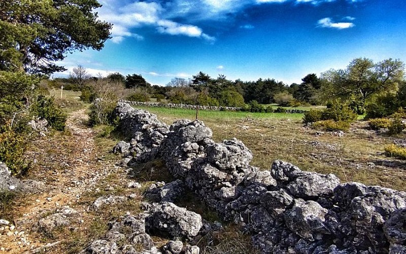Entre La Blaquèrerie et Fontvive