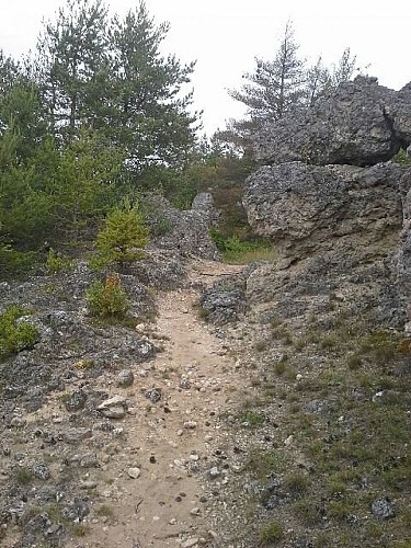 Entre la Blaquèrerie à Fontvive