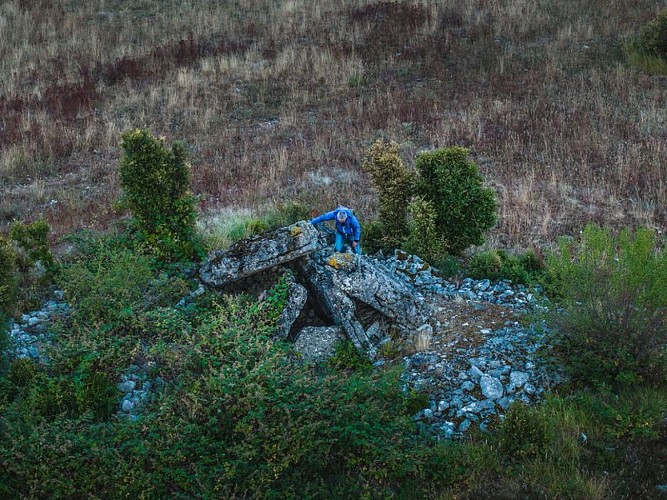 Le dolmen de Mascourbe