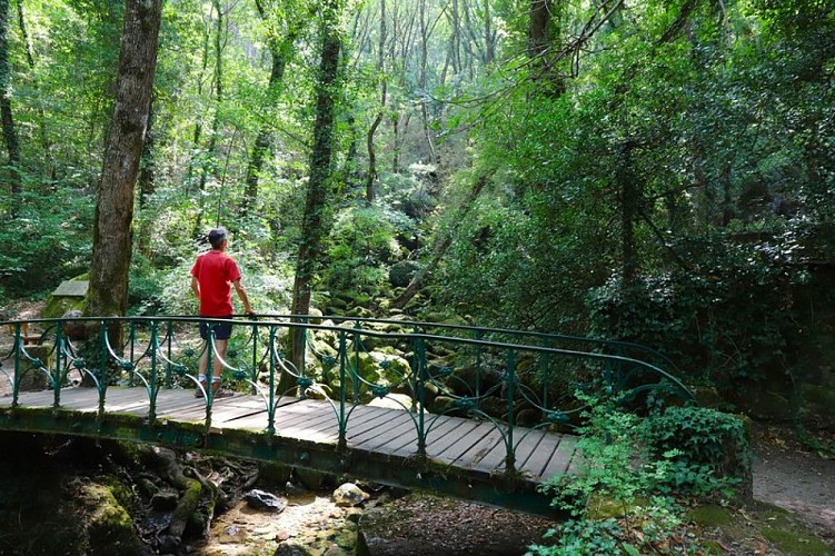 Source du Pêcher