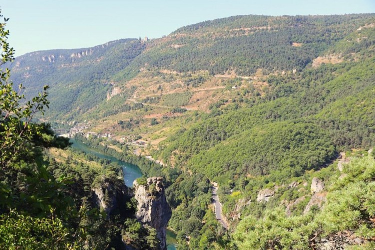 Vue sur Les Vignes