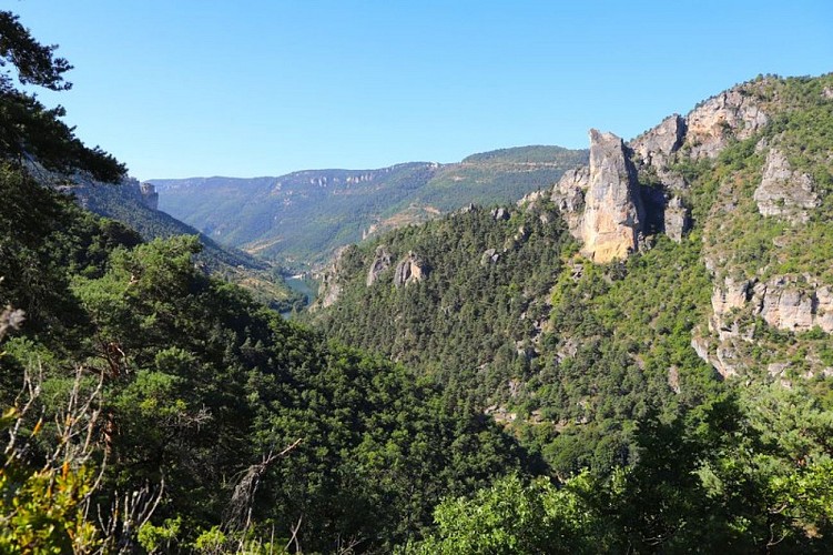 Vue Gorges et Roc Aiguille