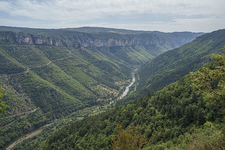 Gorges du Tarn Point Sublime - ©Exo Dams