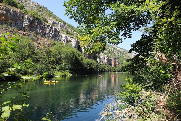 Vue sur le Tarn entre Hauterives et La Malène