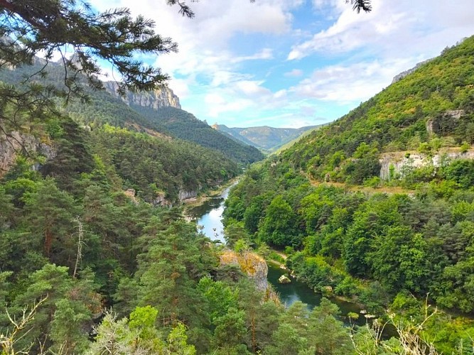 Gorges