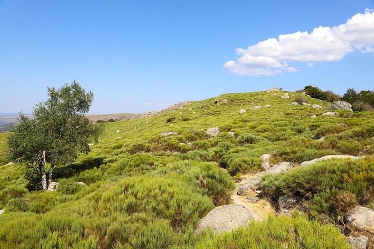 Vue avant d'arriver à Le Merlet