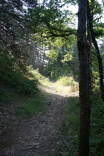 ©PNR Grands Causses