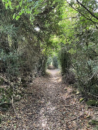 La maison du Peintre