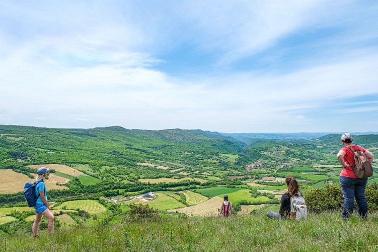 La vallée du Cernon depuis le Puech du Mus