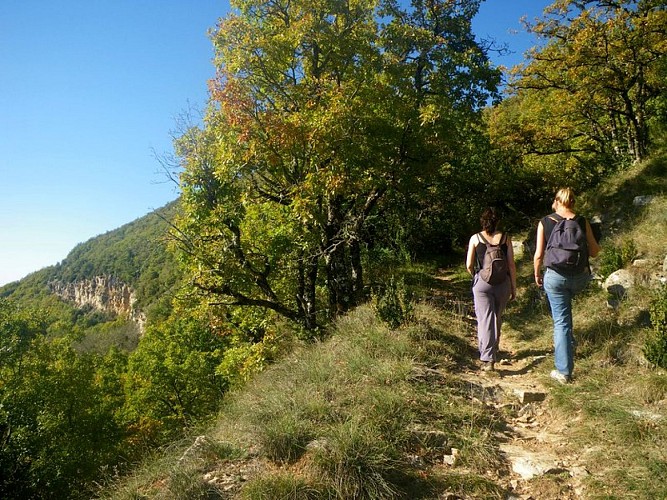 Chemin en direction du Puech du Mus
