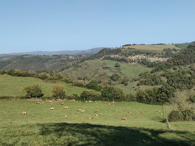 Vue sur les strates calcaires inclinées au dessus de Marnhac