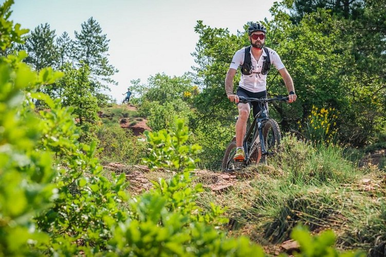 De la Vallée du Rance au Rougier