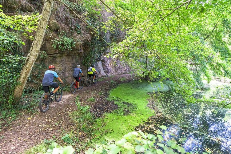 VTT Rance Belmont - ©Exo Dams