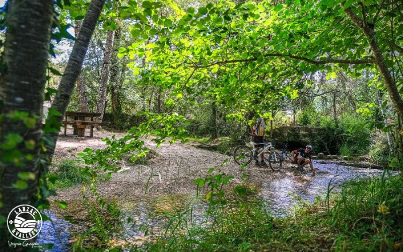 Au bord du Cernon...