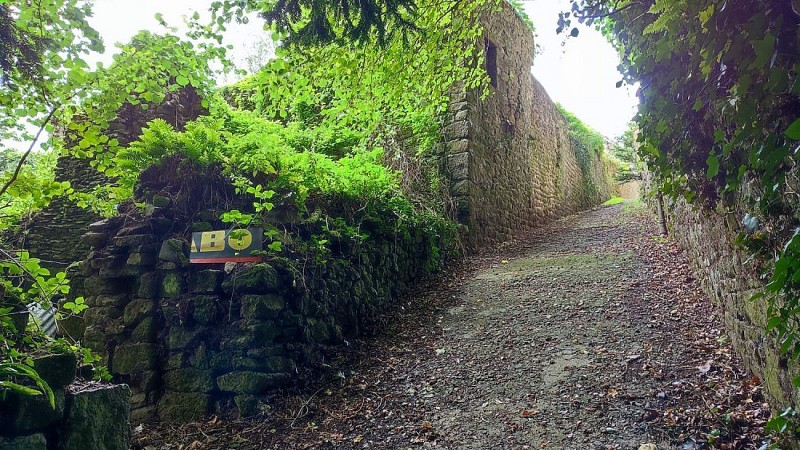 Ruelles et Venelles | Quintin