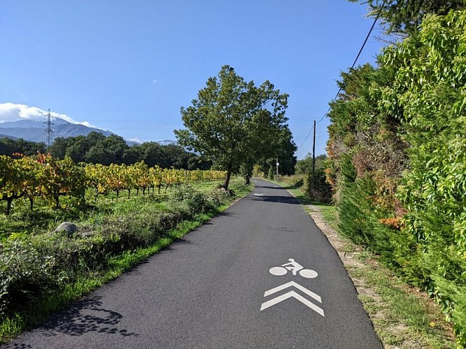 EUROVELO 8 (en direction des Albères -> Le Boulou)