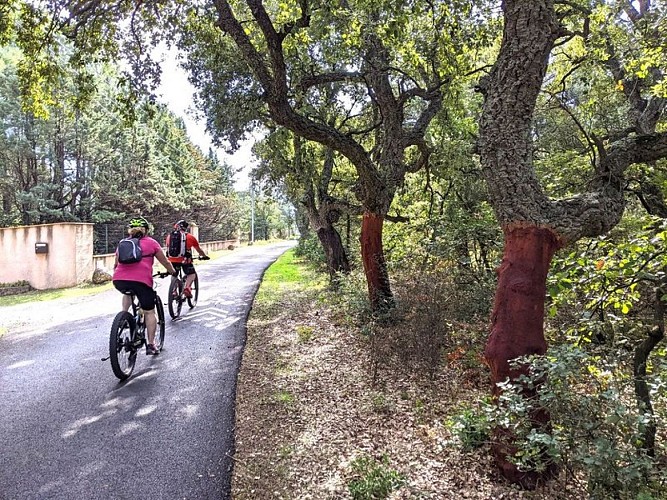 EUROVELO 8 (en direction des Albères -> Le Boulou)