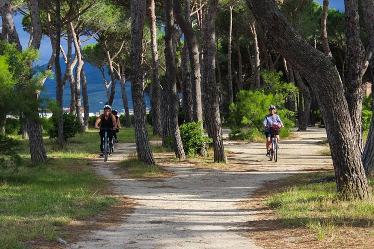 EUROVELO 8 (en direction des plages d’Argelès -> Elne -> St Cyprien)