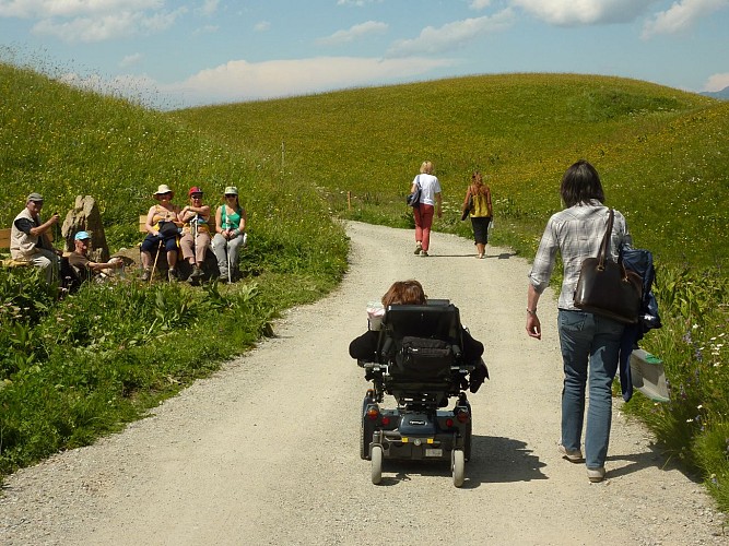 promeneurs handi