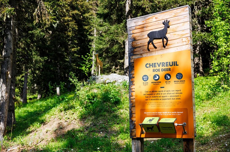 V6 - Animal trail - from Altiport