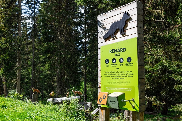 V6 - Animal Trail - Vertrek Altiport