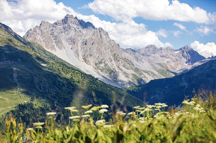 R6 - Descent of the Tougnète summit  From Méribel