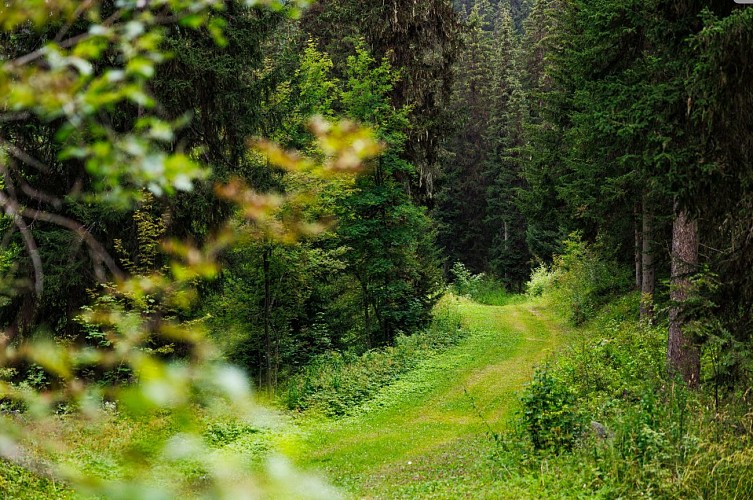 R8 - Creux Loup From Altiport