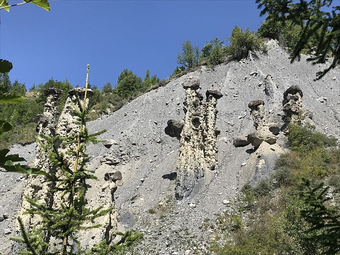 Les demoiselles de la Saussaz