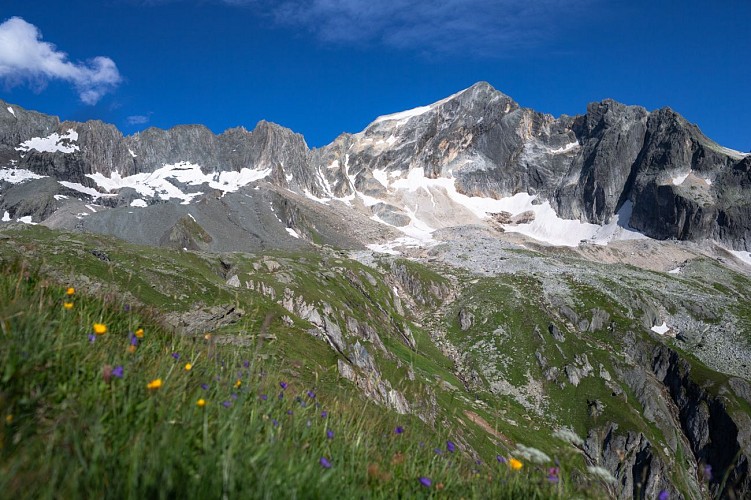 Vue contreforts du Grand Bec sur le chemin du tour de la pointe de la Vuzelle avec nuit en refuge - Planay
