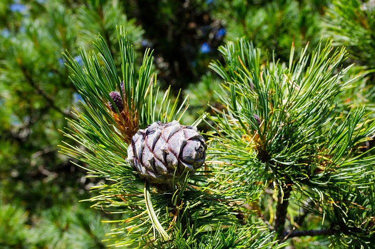 V8 - Boucle du Châtelet_Méribel