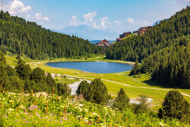 V8 - De Châtelet-lus_Méribel