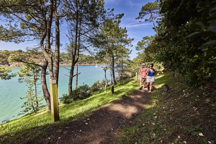 Vue depuis le sentier côtier