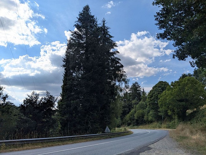 Route entre Treignac et Chamberet