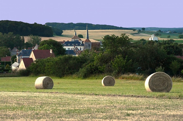 Photo JL 06-2021 (67)